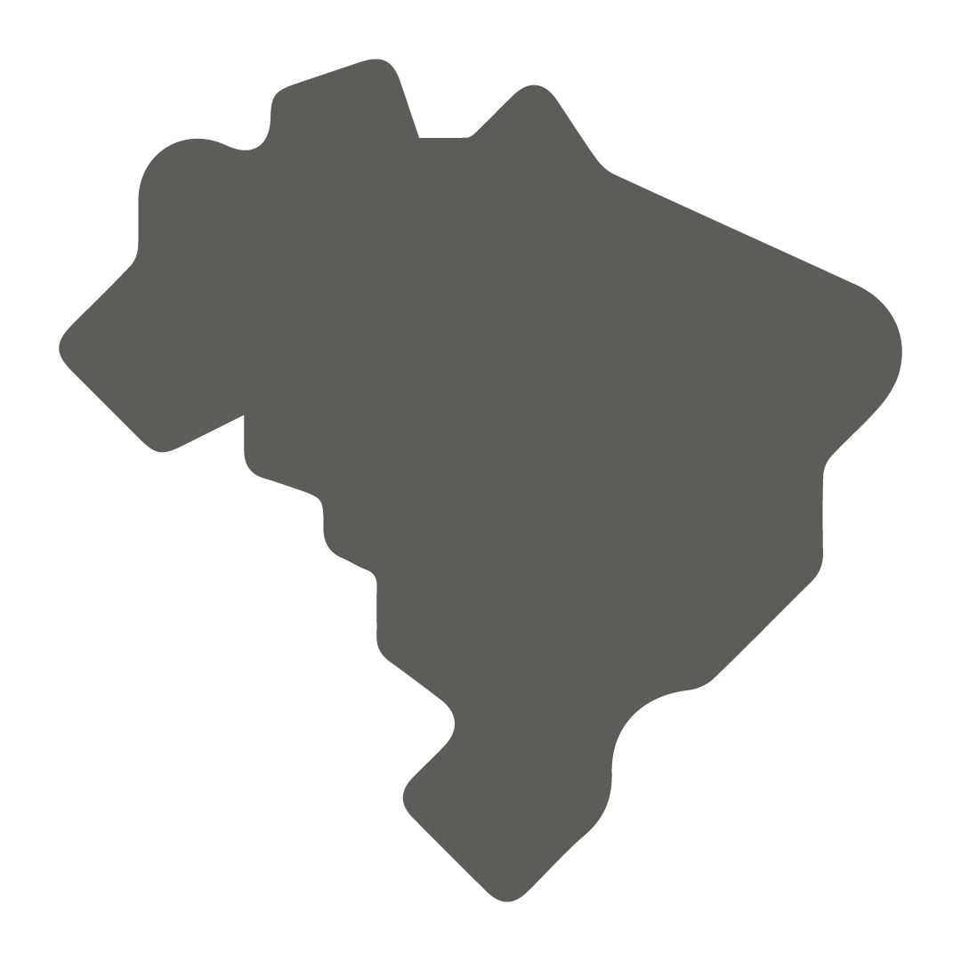 Ícone 3