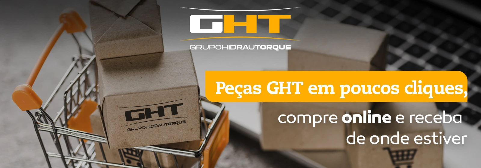 Banner site copiar